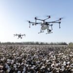 Inteligența artificială în agricultură