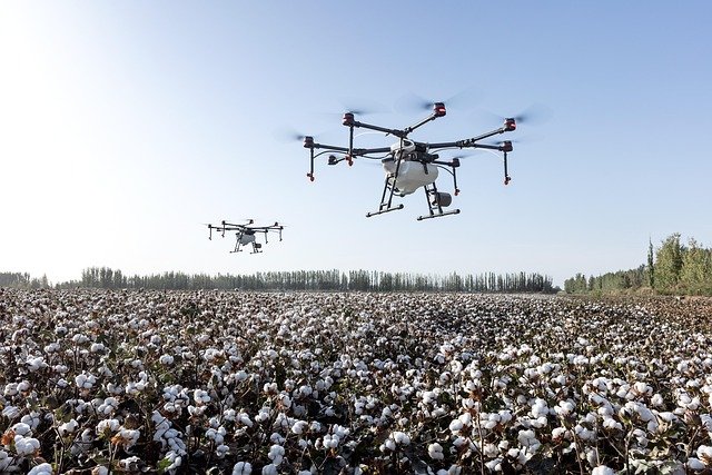 Inteligența artificială în agricultură