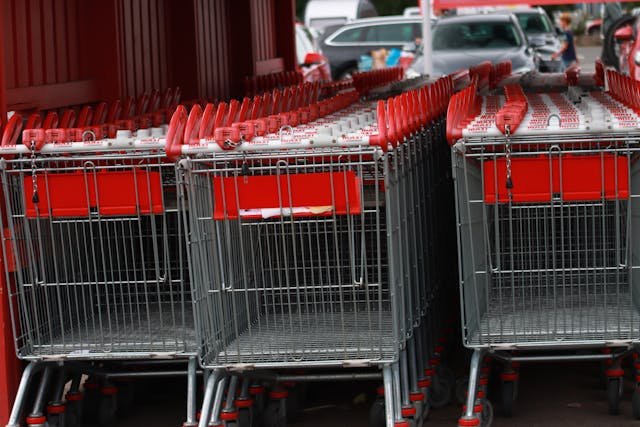 rata inflatiei salarii